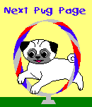 Next Pug Dog Web Ring Site