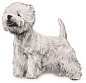 weatie.gif (3553 byte)
