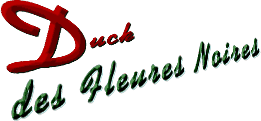 duckn.gif (4931 byte)