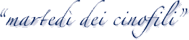 martedi.gif