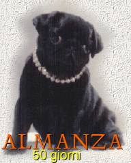 Almanza photo