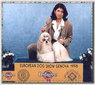 Carlo Magno di Casa Corsini European Ch 1998