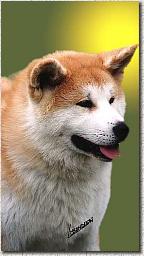 benihiryuu2.jpg (8324 byte)