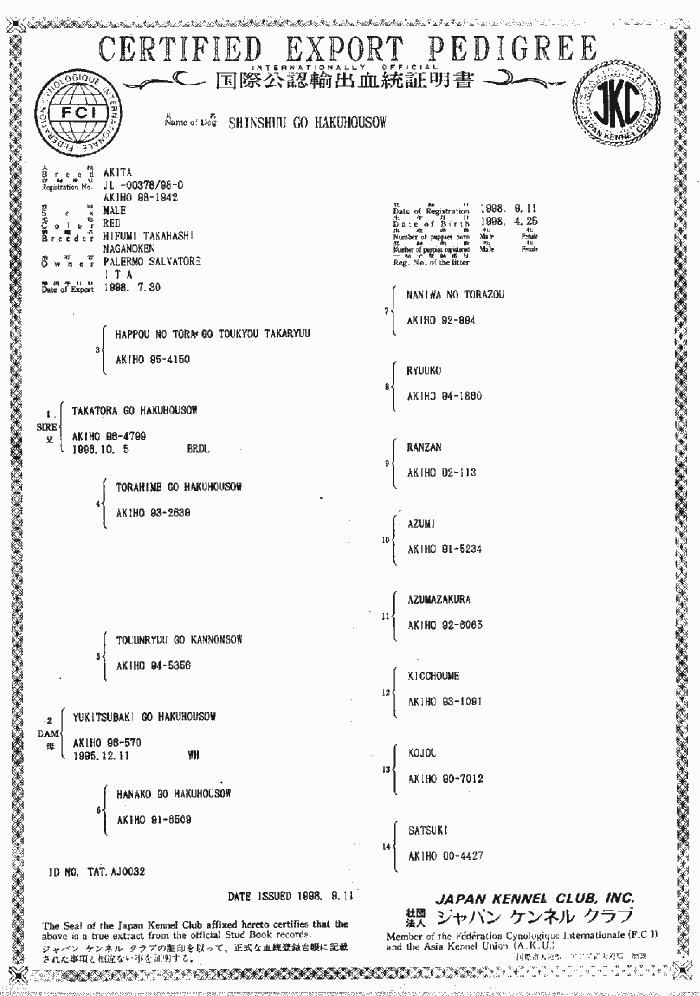 pedshins1.jpg (199517 byte)