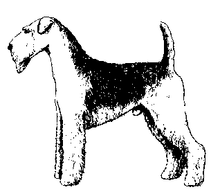 airedale.gif (3538 byte)