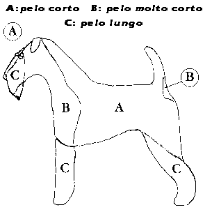 toelet.gif (2595 byte)