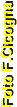 cicognav.gif (628 byte)