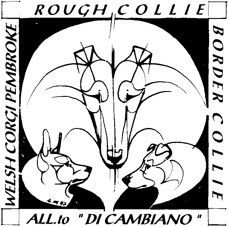 Registred  logo of Cambiano