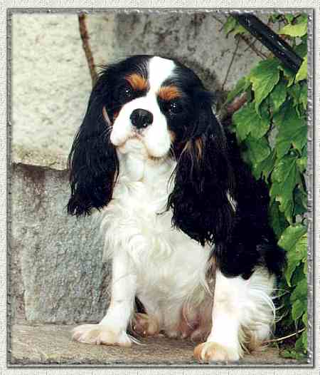 Consuelo photo