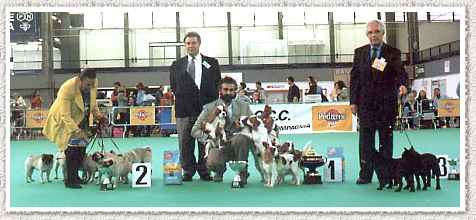 Club Show Genova 98 - Grup winner photo
