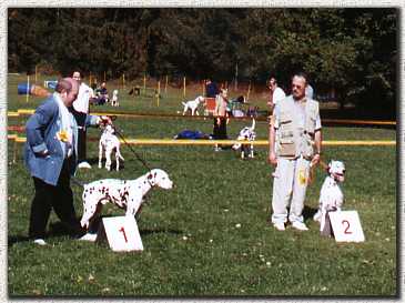 foto7.jpg (18499 byte)