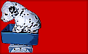 Cuccioli dalmata