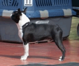 img3.gif