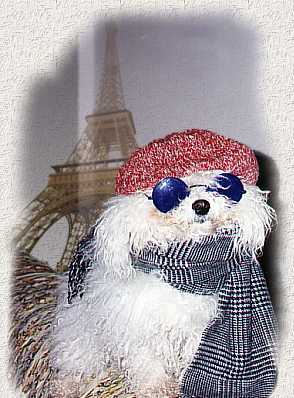 rugiadapr.jpg (22136 byte)