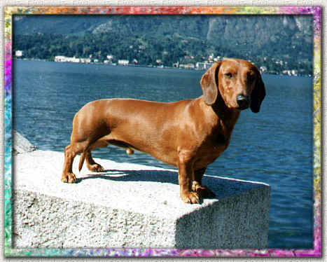 Teodoro Picture