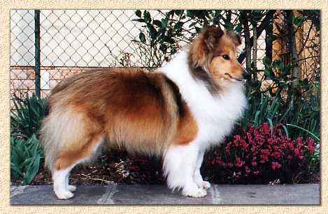 Trudie photo