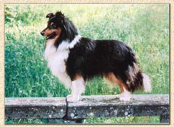 foto22.jpg (17676 byte)