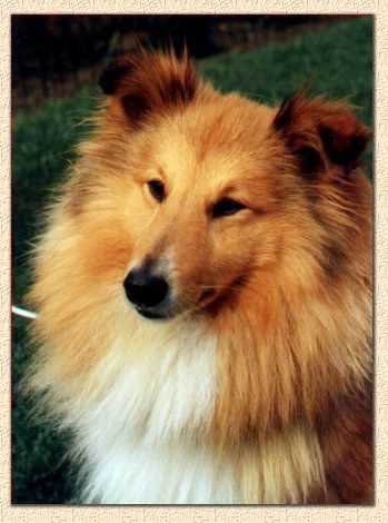 Sonymer photo