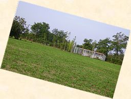 img6.gif