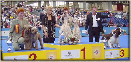 coppie4.JPG (29160 byte)