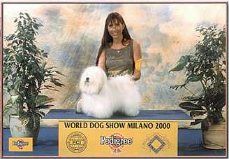 coton.jpg (15378 byte)