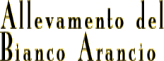 nome.gif (4054 byte)